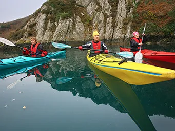A group kayaking in Lough Hyne