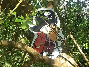 A pirate cutout hiding in the Inish Beg forest.